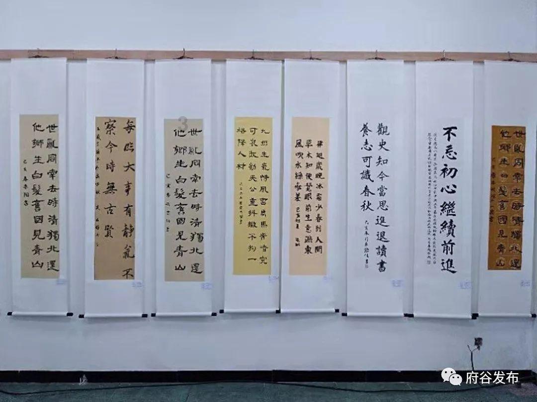 全区审计工作先进个人事迹展|③